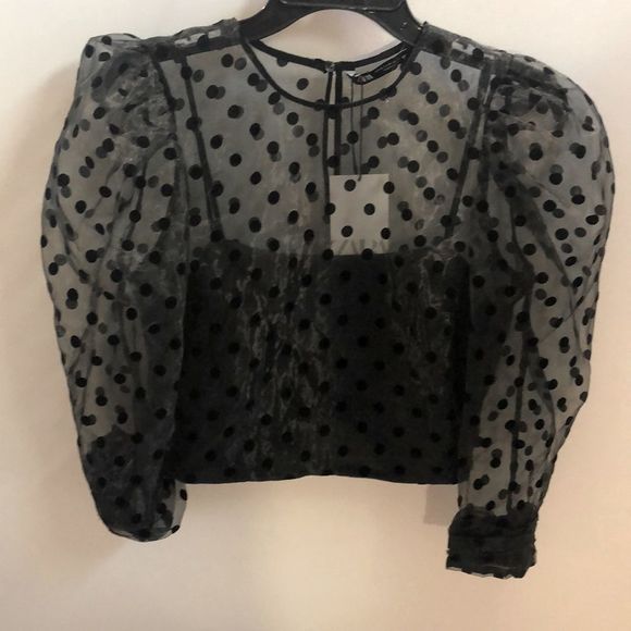 COPY - Zara Black Organza Polka Dot Crop Blouse NWT - Picture 8 of 14